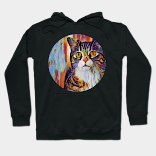 Alert floppy cat Hoodie